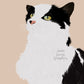 Personalised Illustrated Animal Prints