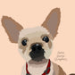 Personalised Illustrated Animal Prints