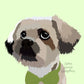 Personalised Illustrated Animal Prints